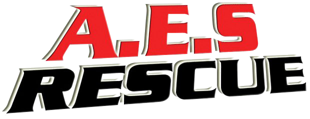 A.E.S. Logo